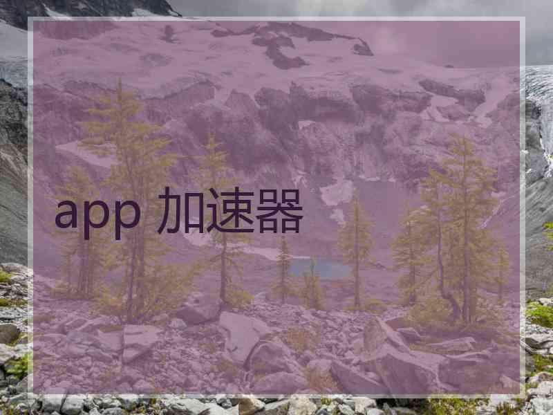 app 加速器