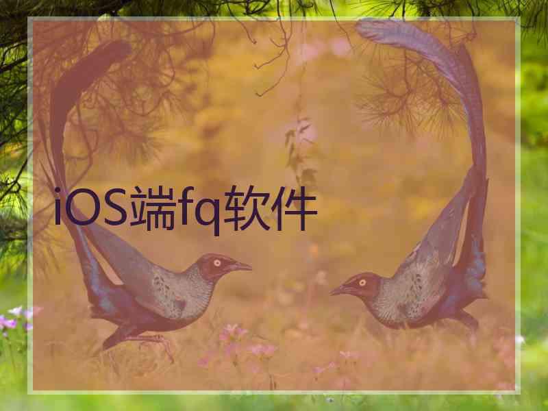 iOS端fq软件