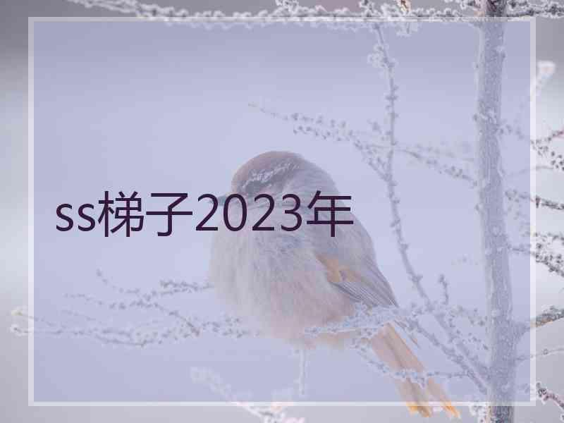 ss梯子2023年