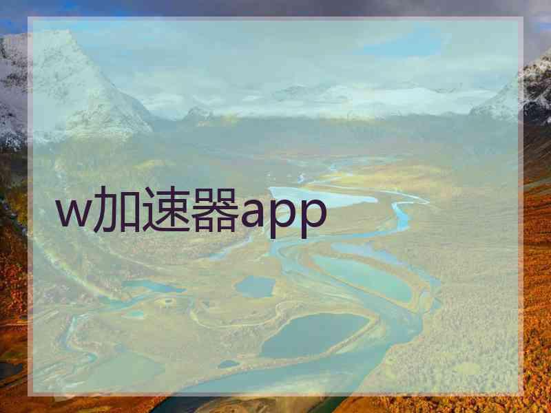 w加速器app