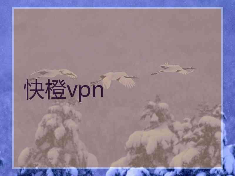 快橙vpn