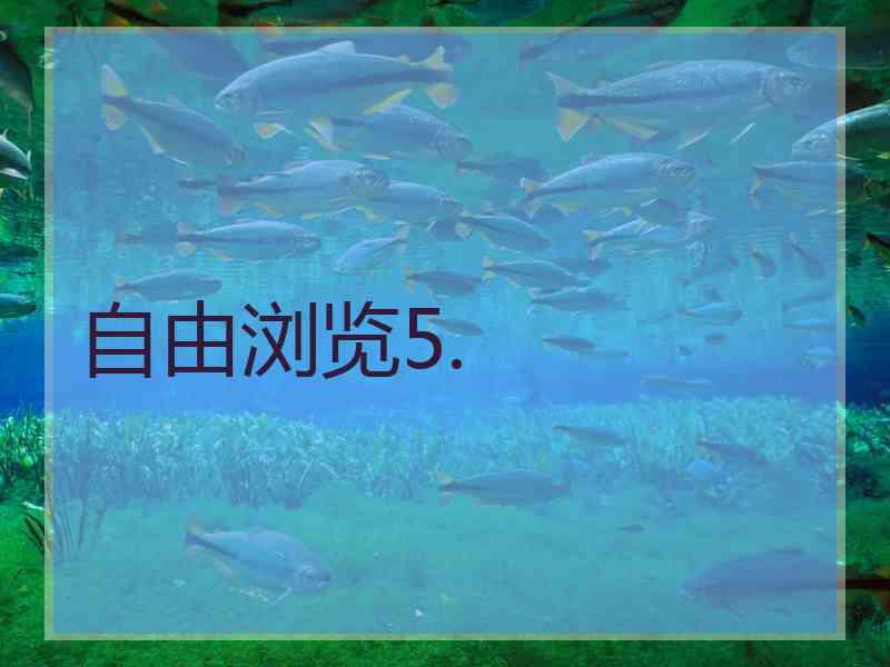 自由浏览5.