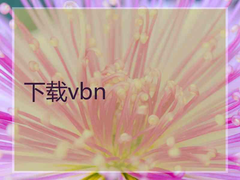 下载vbn