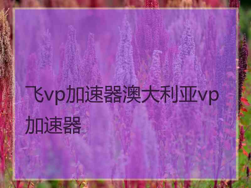 飞vp加速器澳大利亚vp加速器