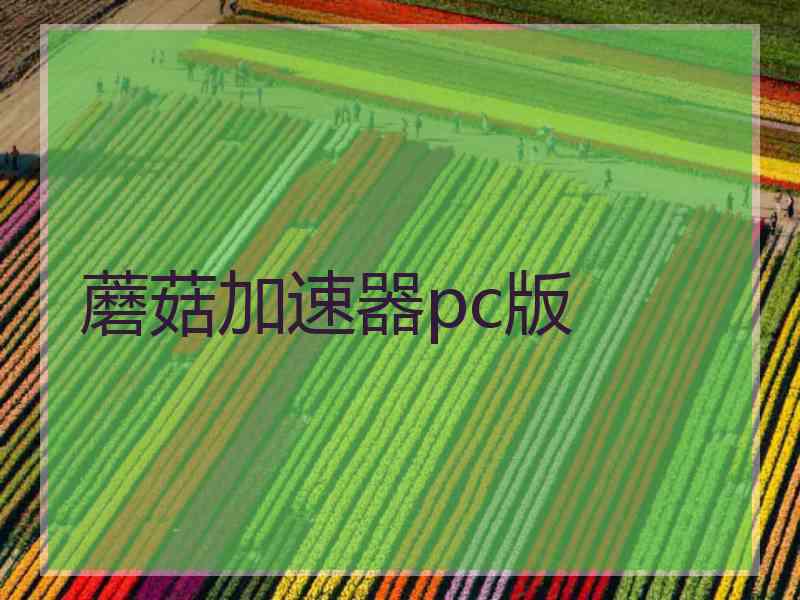 蘑菇加速器pc版