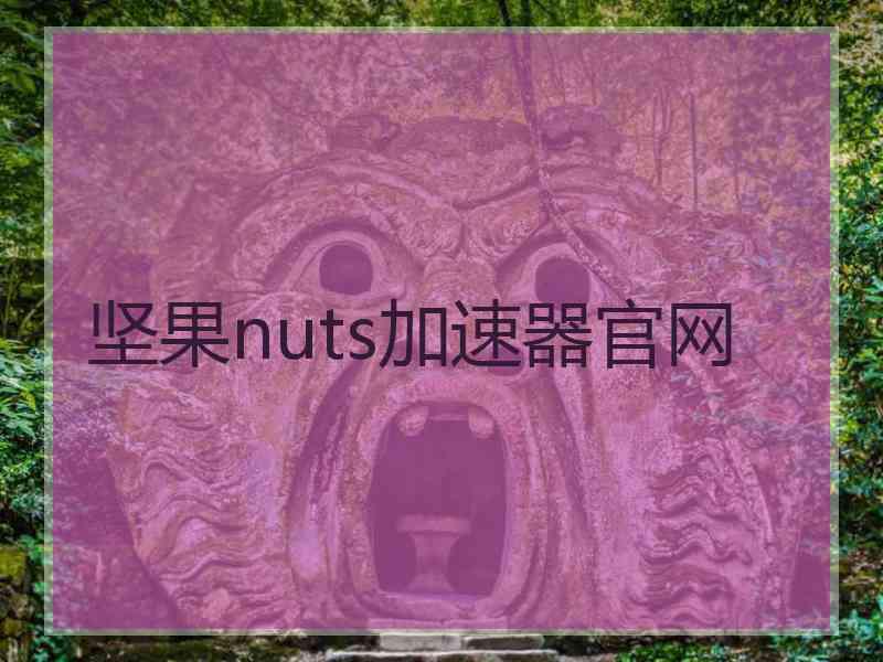 坚果nuts加速器官网