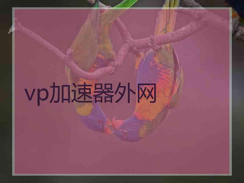 vp加速器外网