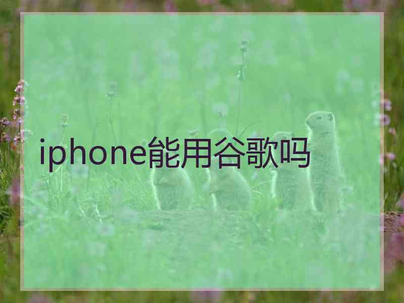 iphone能用谷歌吗