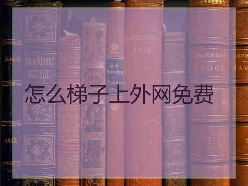 怎么梯子上外网免费