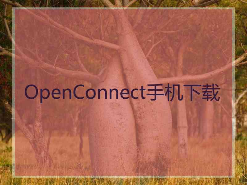 OpenConnect手机下载