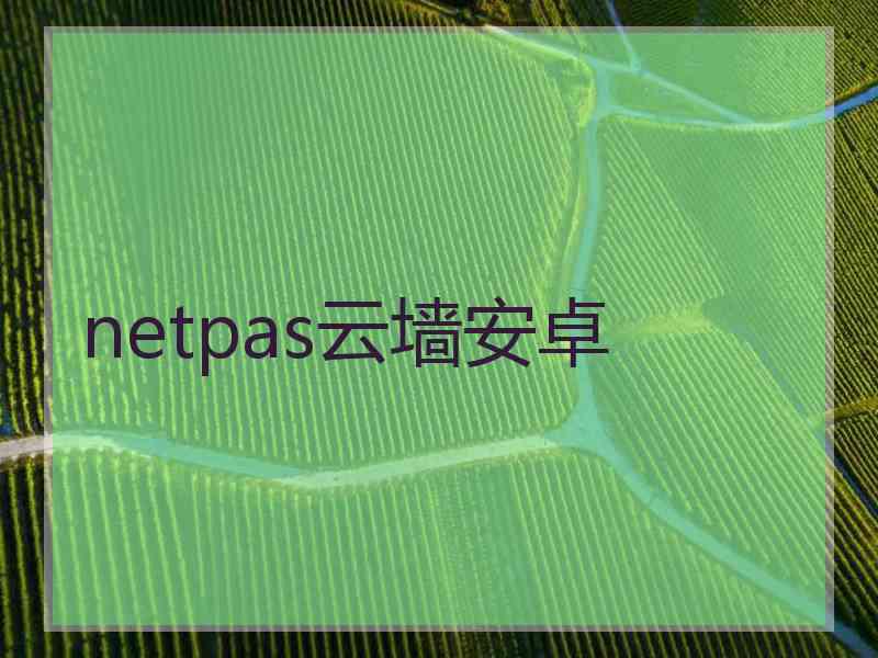 netpas云墙安卓