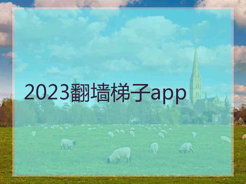 2023翻墙梯子app