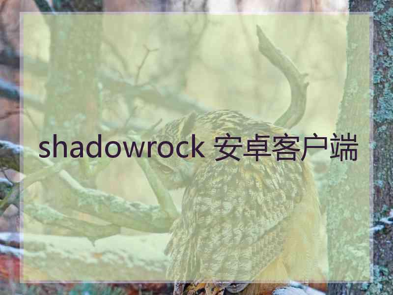 shadowrock 安卓客户端