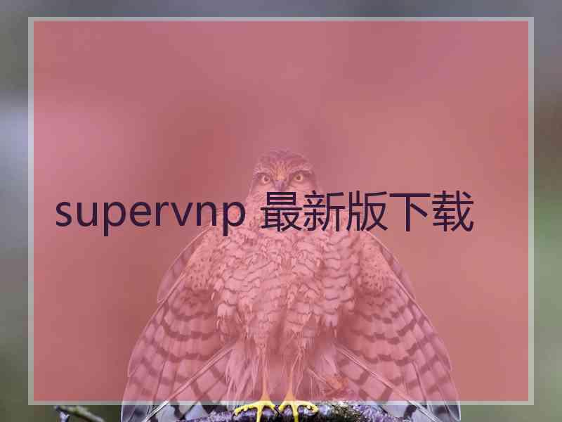 supervnp 最新版下载