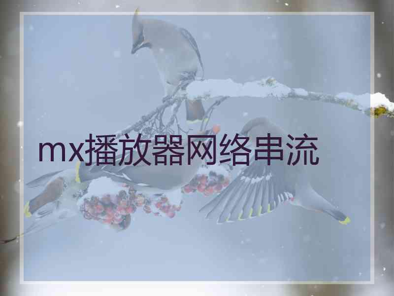 mx播放器网络串流