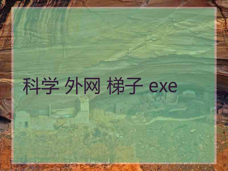 科学 外网 梯子 exe