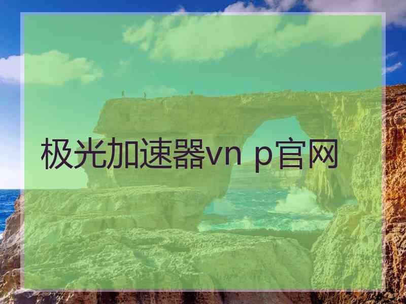 极光加速器vn p官网