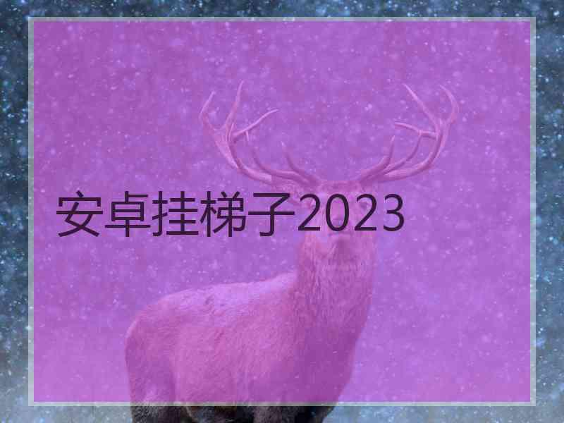 安卓挂梯子2023