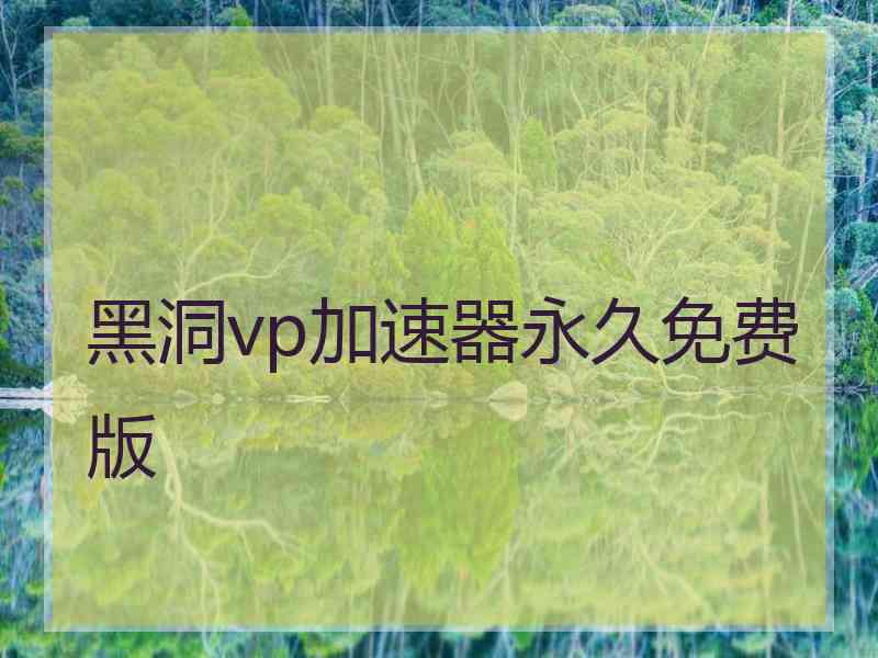 黑洞vp加速器永久免费版