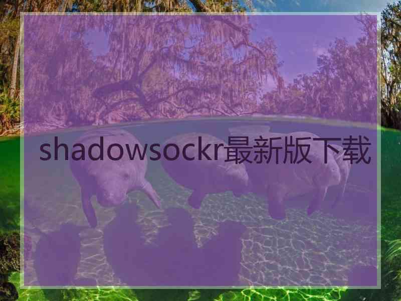 shadowsockr最新版下载