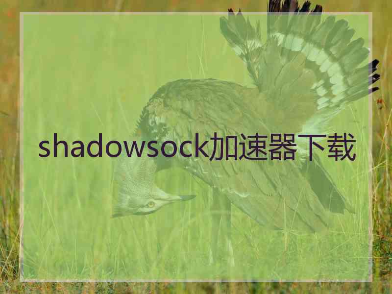 shadowsock加速器下载