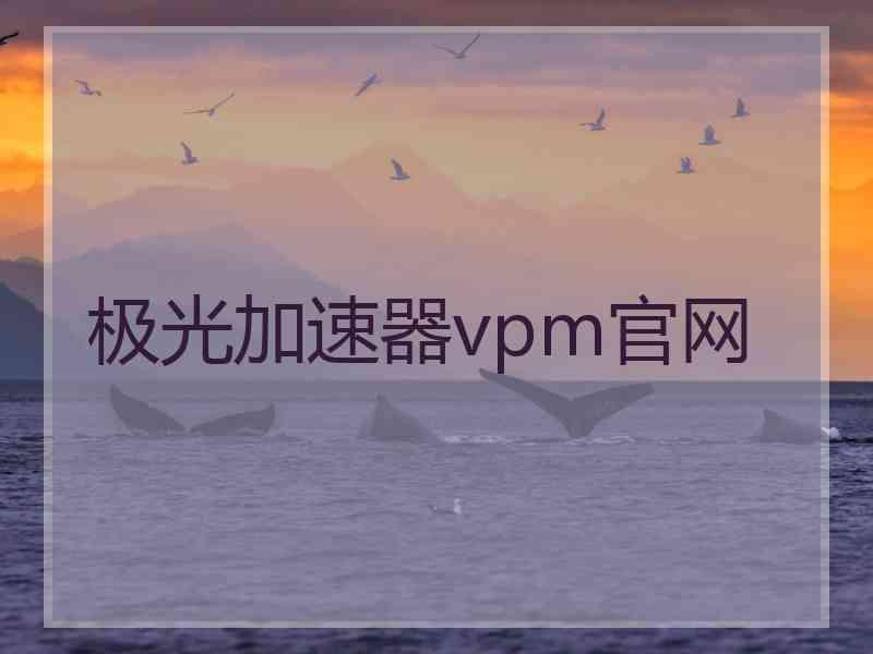 极光加速器vpm官网