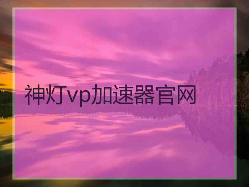 神灯vp加速器官网