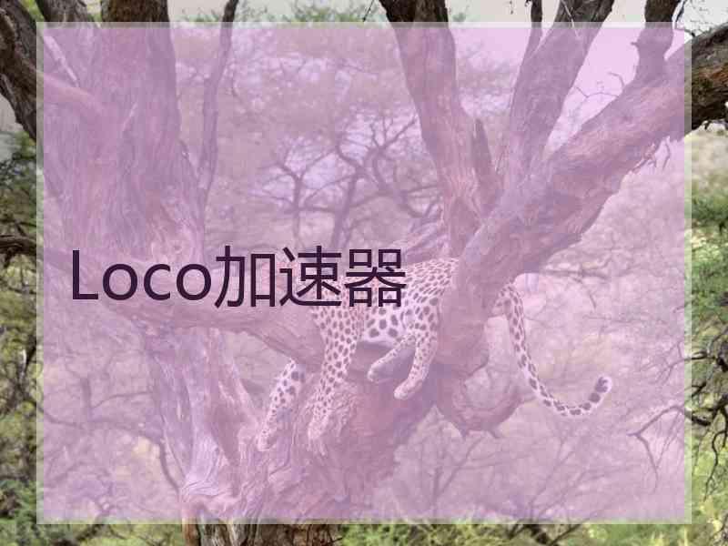 Loco加速器