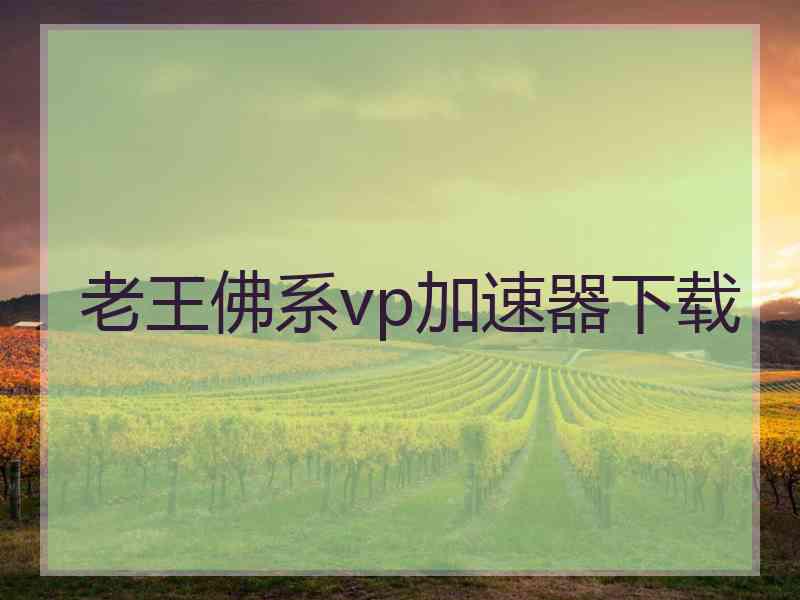 老王佛系vp加速器下载