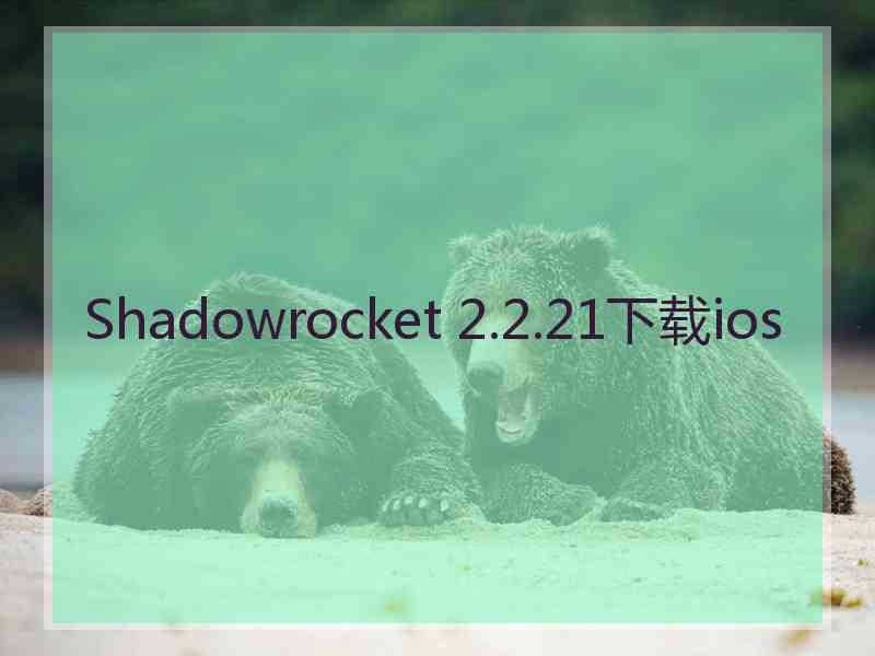 Shadowrocket 2.2.21下载ios