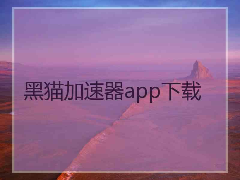 黑猫加速器app下载