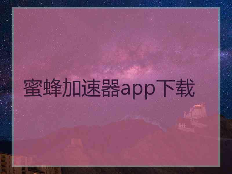 蜜蜂加速器app下载