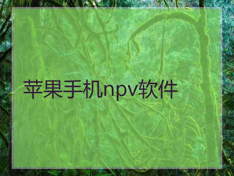 苹果手机npv软件