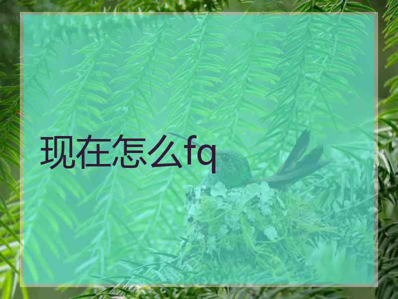 现在怎么fq