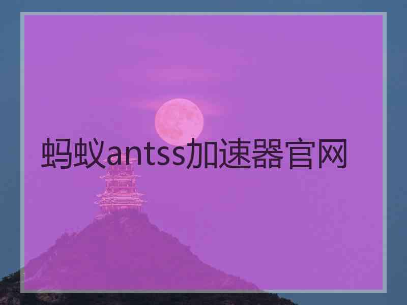 蚂蚁antss加速器官网