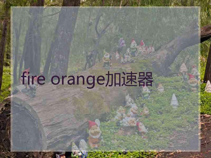 fire orange加速器