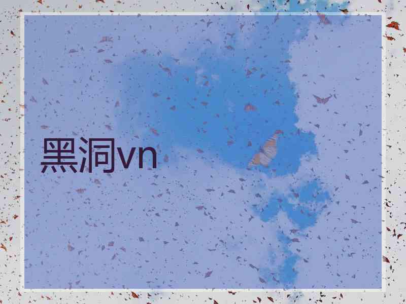 黑洞vn