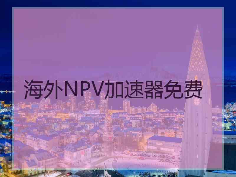 海外NPV加速器免费