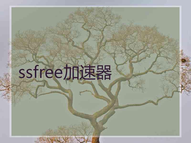 ssfree加速器