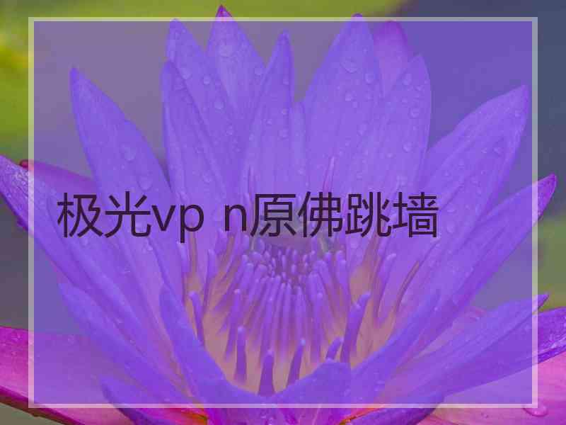 极光vp n原佛跳墙