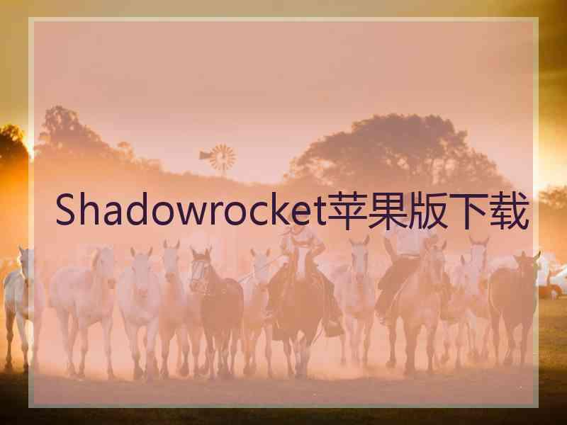 Shadowrocket苹果版下载