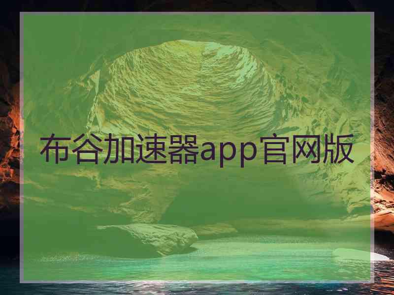 布谷加速器app官网版