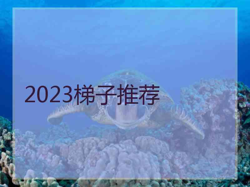 2023梯子推荐