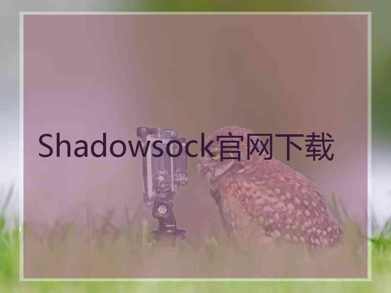 Shadowsock官网下载