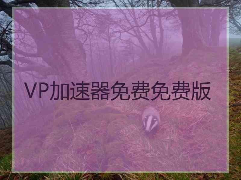 VP加速器免费免费版