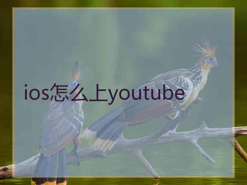 ios怎么上youtube