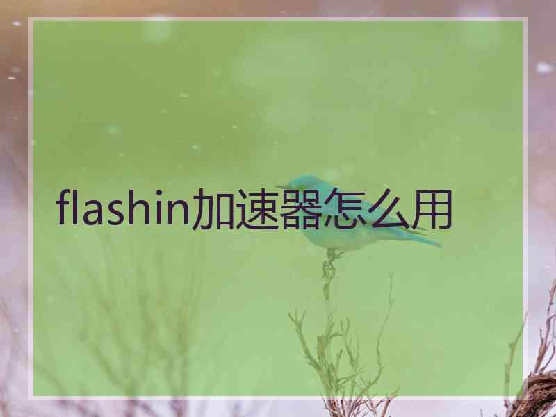 flashin加速器怎么用