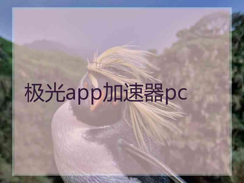 极光app加速器pc