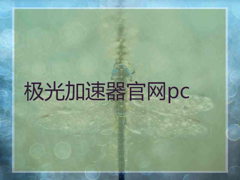 极光加速器官网pc