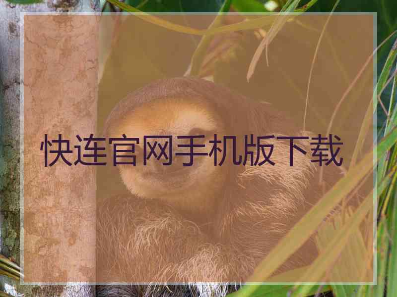 快连官网手机版下载